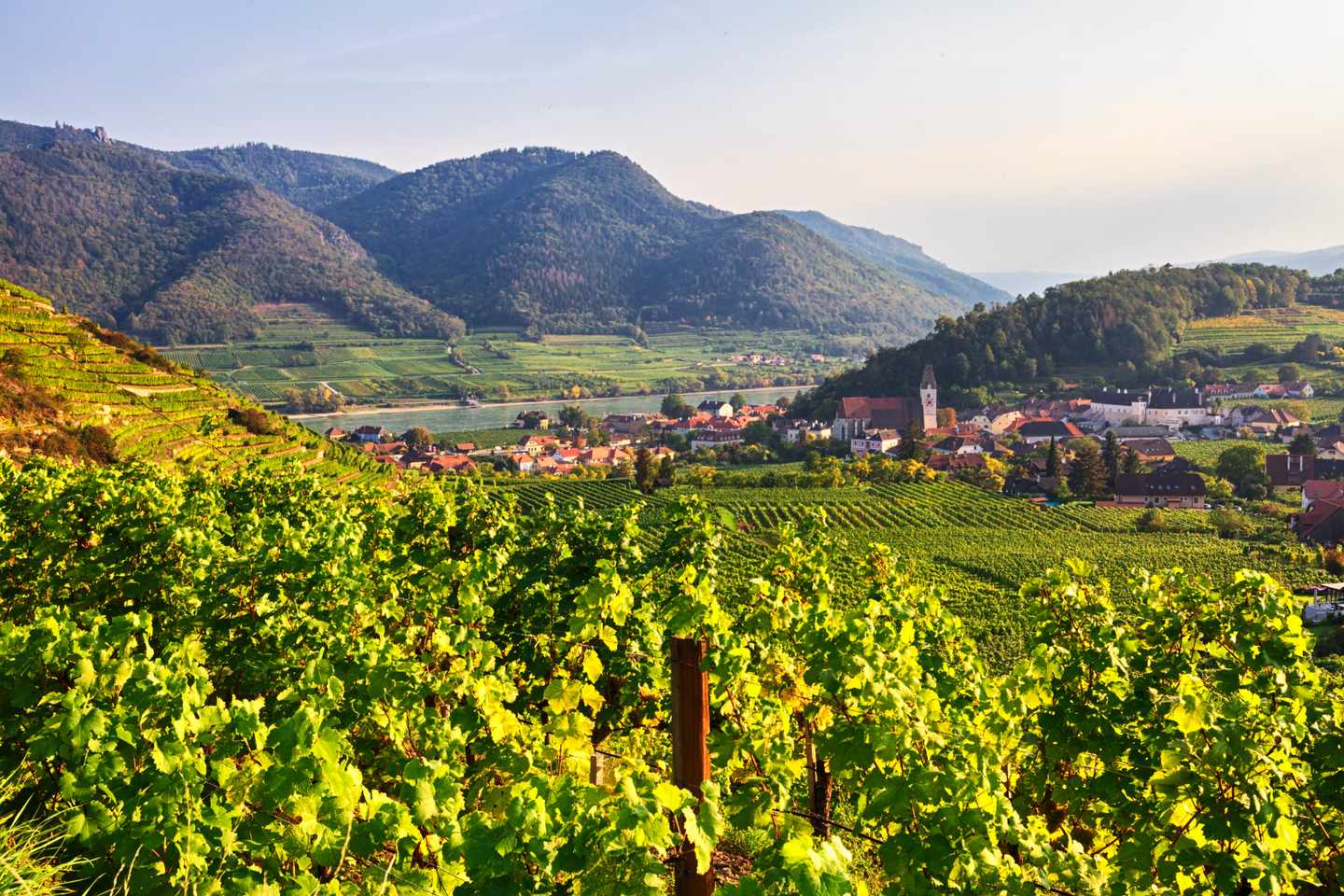 Österreich-Niederösterreich-Spitz-im-Wachautal-Berg-und-Tallandschaft-g-956478584.jpg
