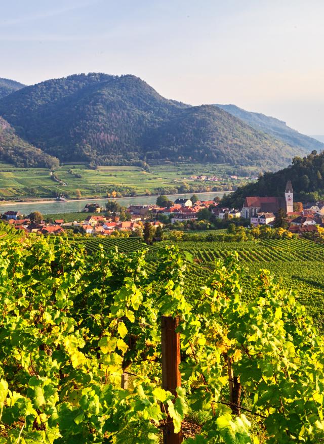 Wanderurlaub in Österreich Österreich: Berg- und Tallandschaft