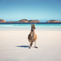 kv-australien-angebaut.jpg