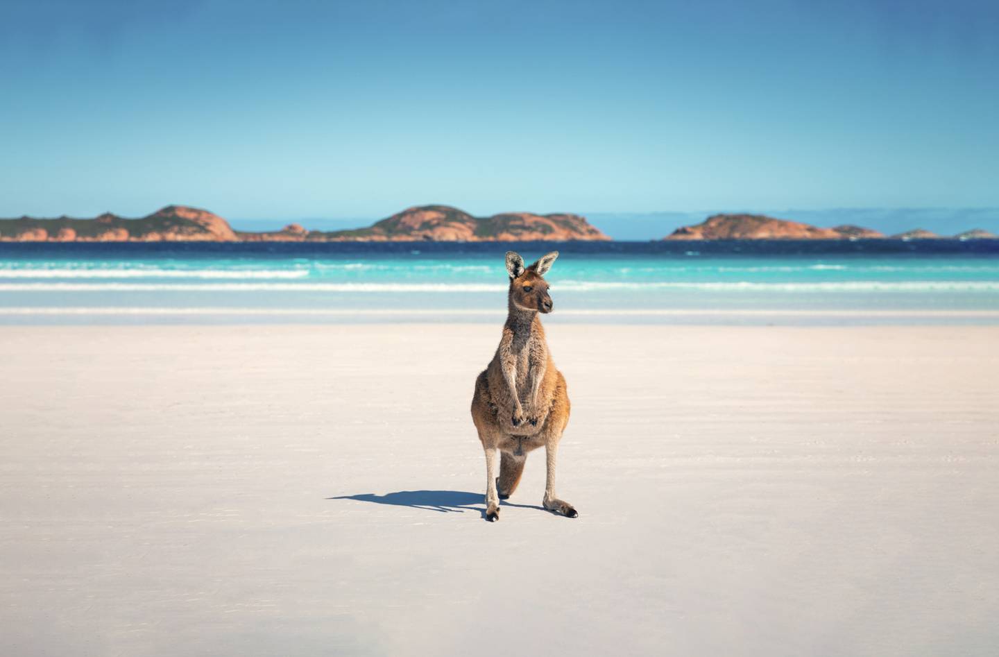 kv-australien-angebaut.jpg