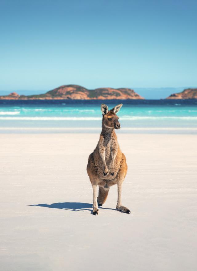 Australien Urlaub kv-australien-angebaut.jpg
