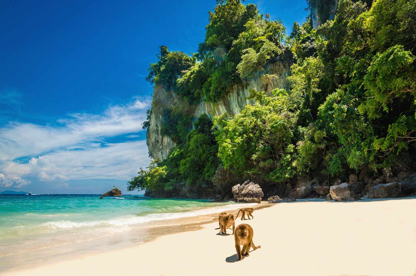 thailand-phi-phi-inseln-monkey-beach-klein-g-476233782.jpg