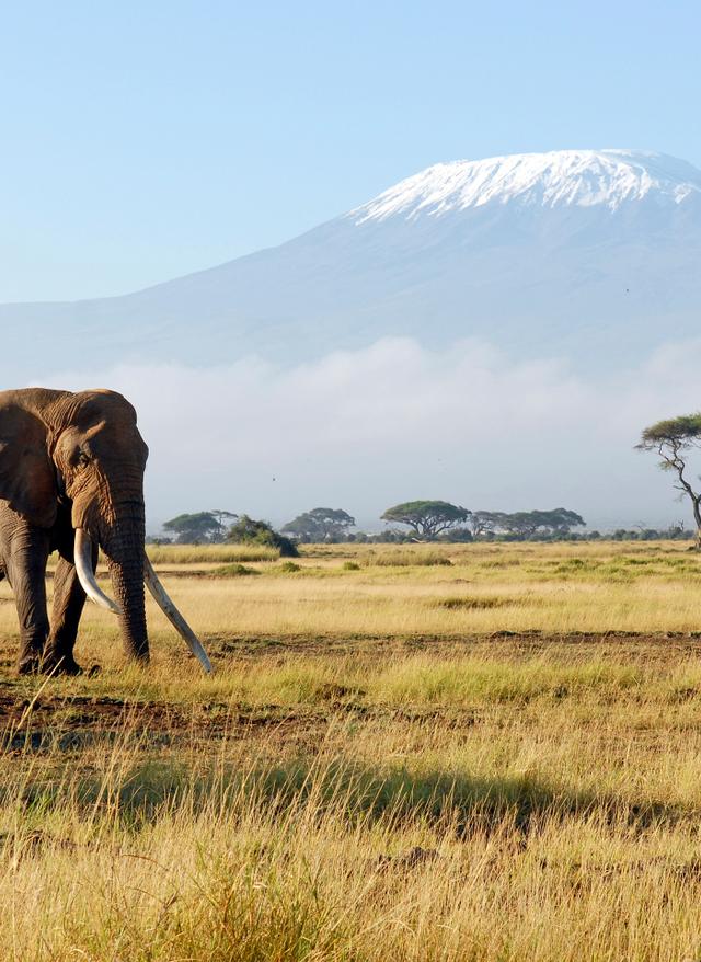 Kenia beste Reisezeit