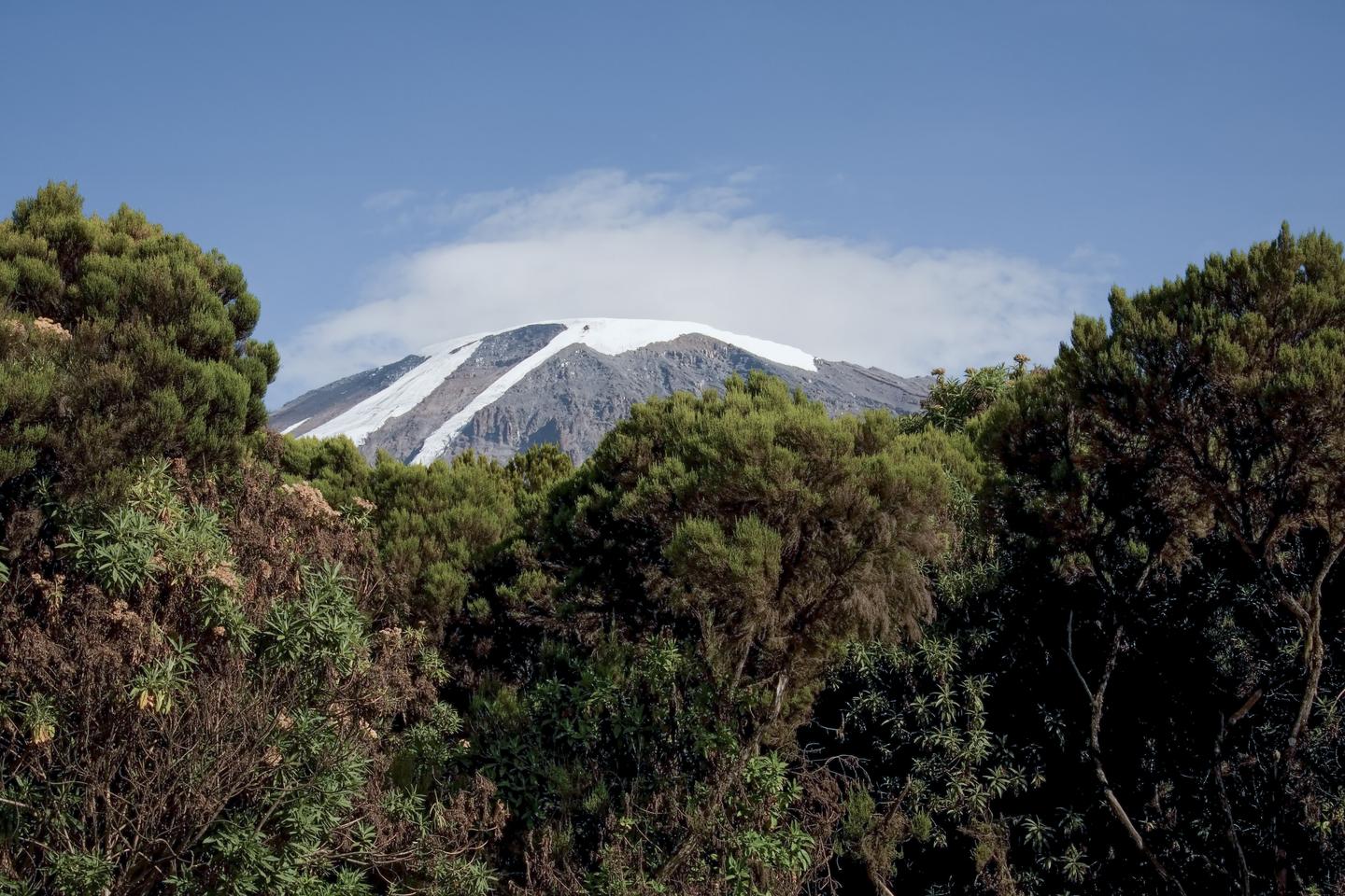 afrika-tansania-kilimandscharo-wandern-bergsteigen-g-136613293.jpg