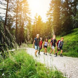 wald-familie-g-661996992.jpg