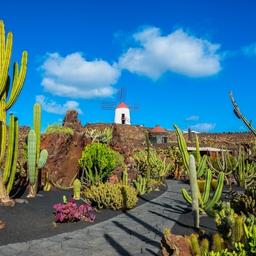 Pauschalreisen Lanzarote