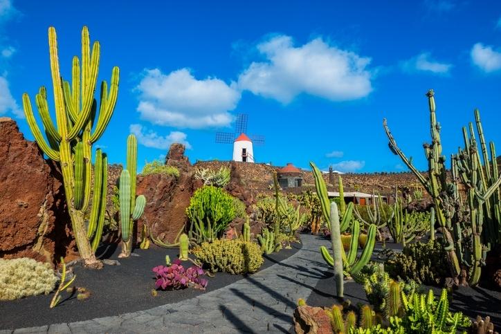spanien-kanaren-lanzarote-windmuehle-g-815287386.jpg