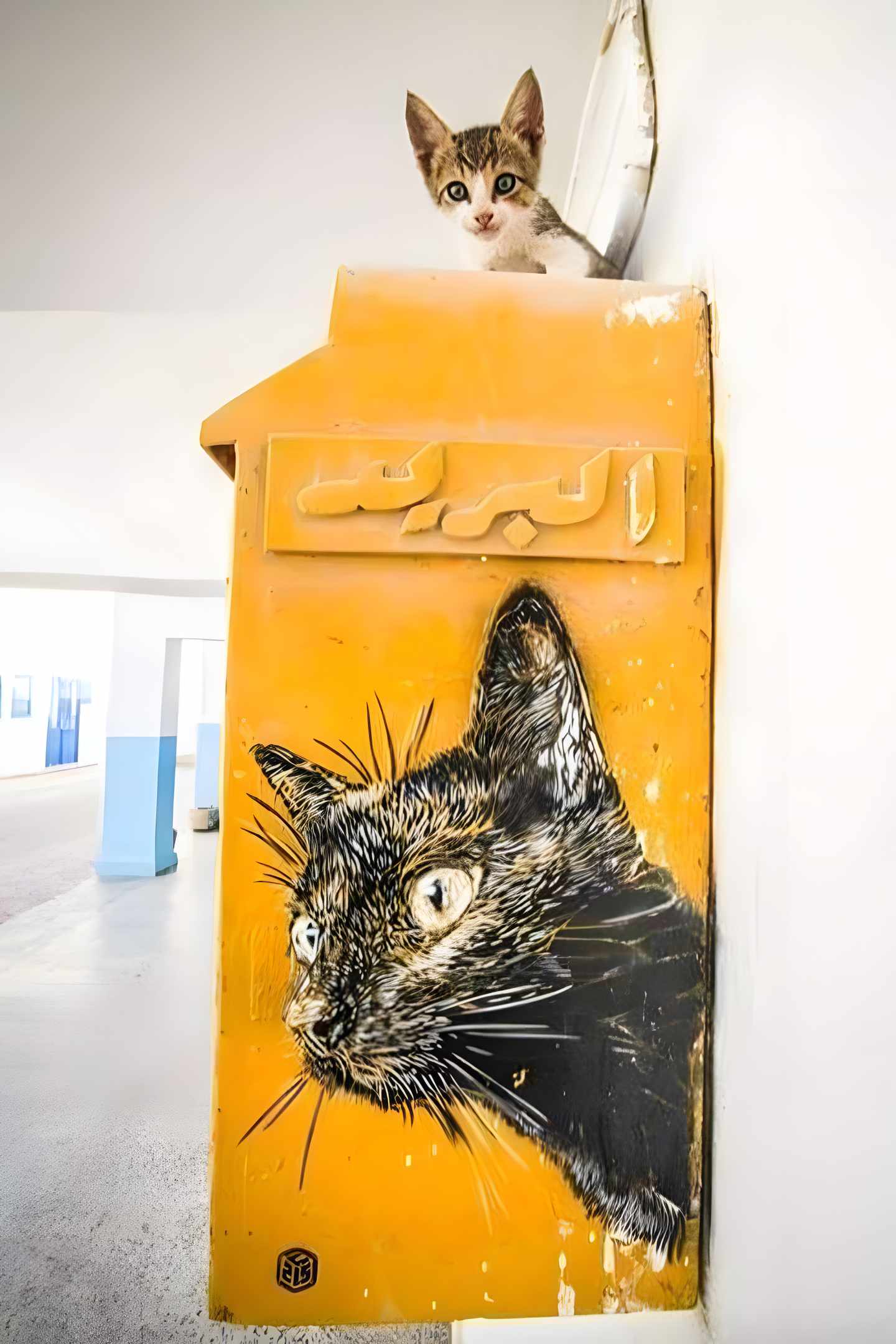 blt2eb95dc8e6cfc5f1-tunesien-djerbahood-14.jpg Djerba Graffiti: Kunst in Gestalt einer Katze