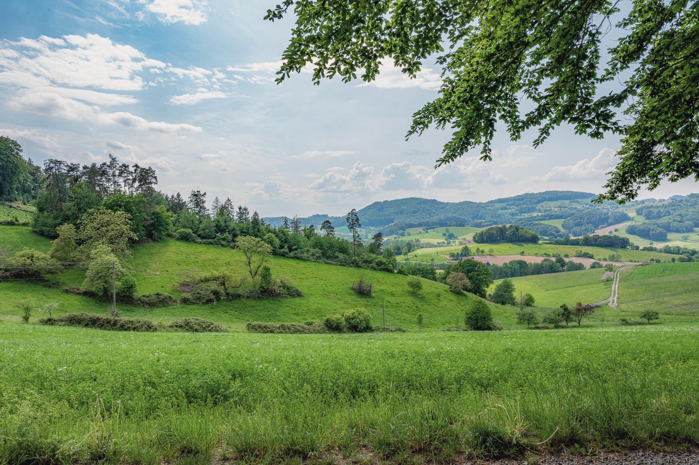 deutschland-odenwald-g-1437201161.jpg