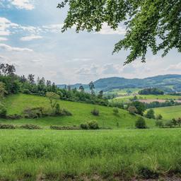 Hotels im Odenwald