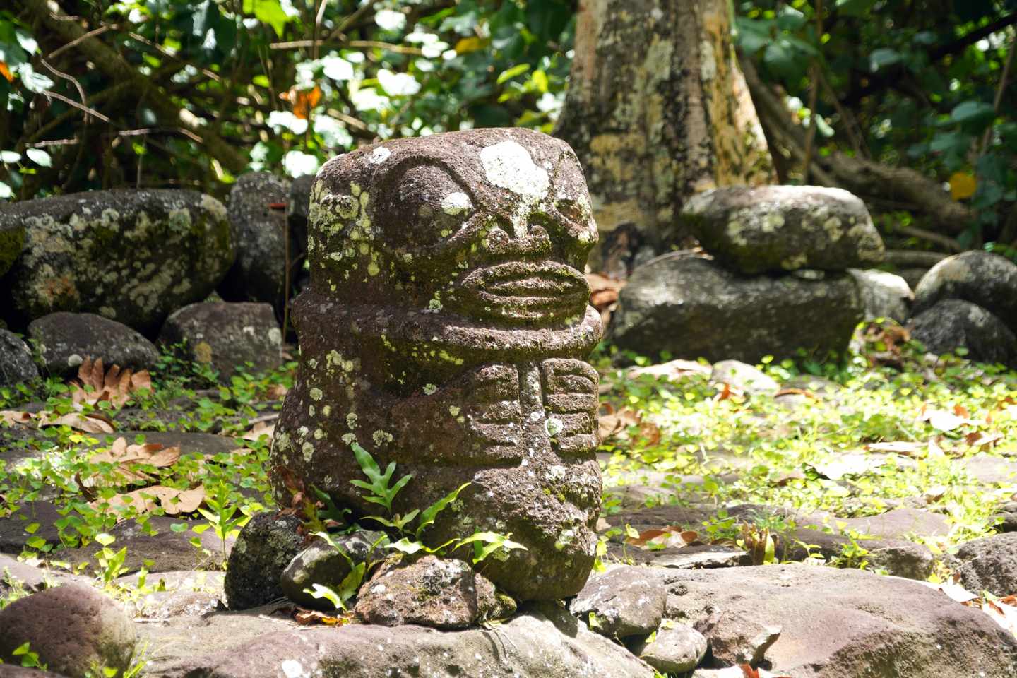 franzoesisch-polynesien-nuku-hiva-island-g-1673511100.jpg
