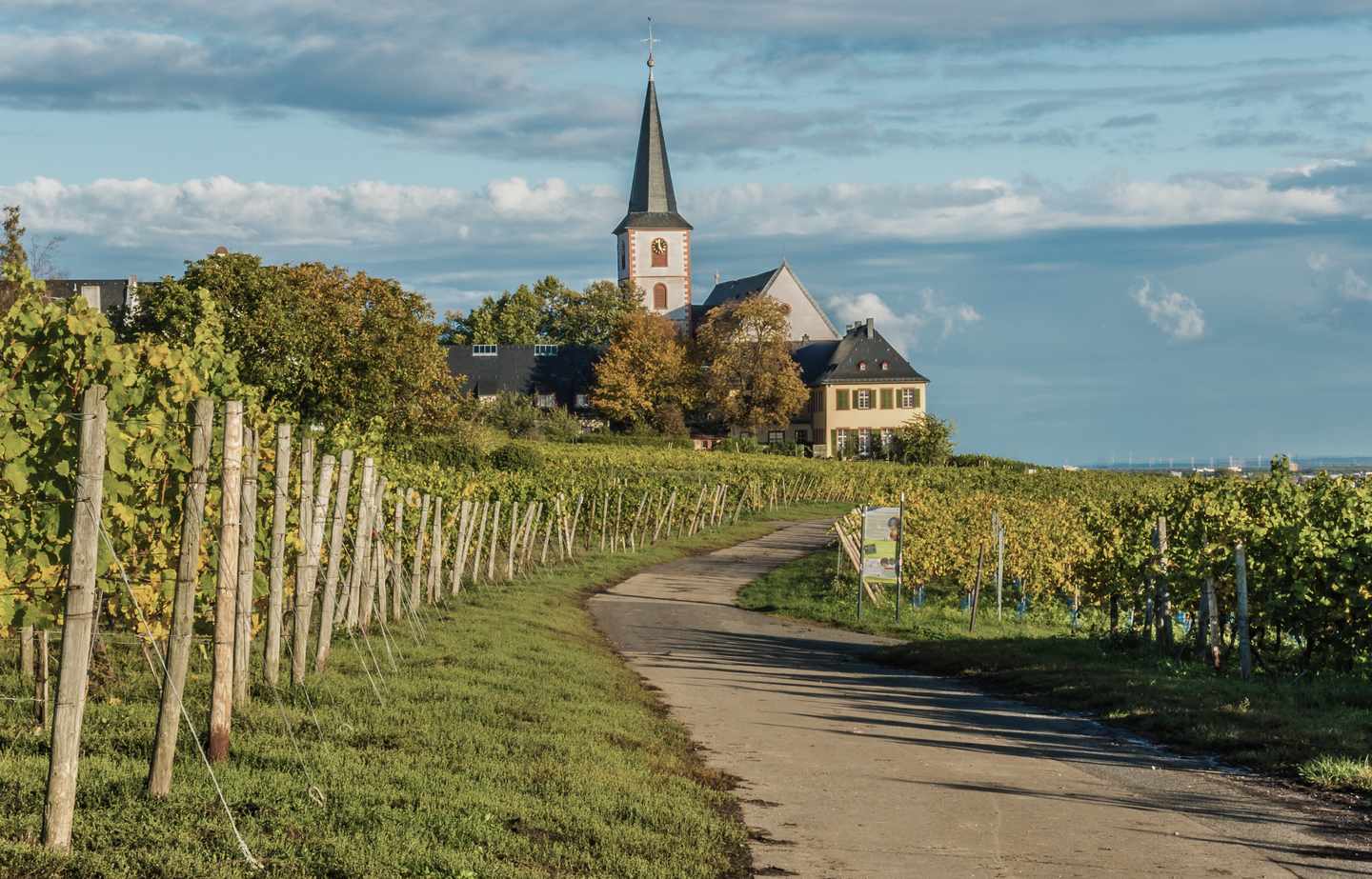 deutschland-hessen-hochheim-weinberg-kirche-peter-paul-g-1391101171.jpg