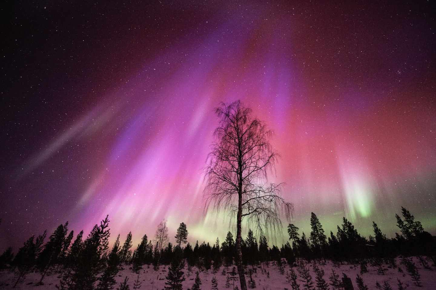 schweden-polarlichter-g-171576847.jpg