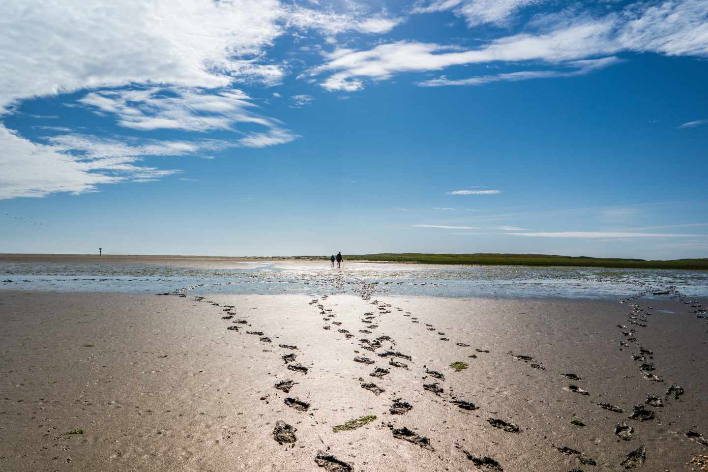 deutschland-nordsee-wattenmeer-spuren-g-1134455737.jpg
