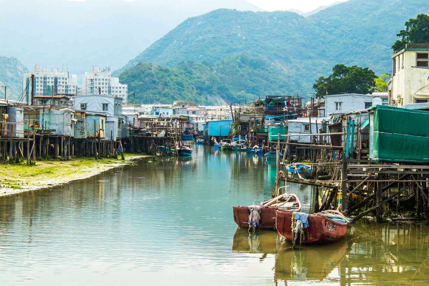 china-hongkong-tai-o-fishing-village-t-539454800.jpg