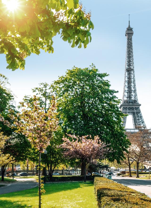 Städtereisen frankreich-paris-g-931812694.jpg