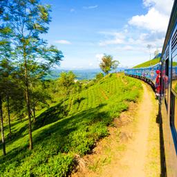 sri-lanka-zug-t-639954898.jpg