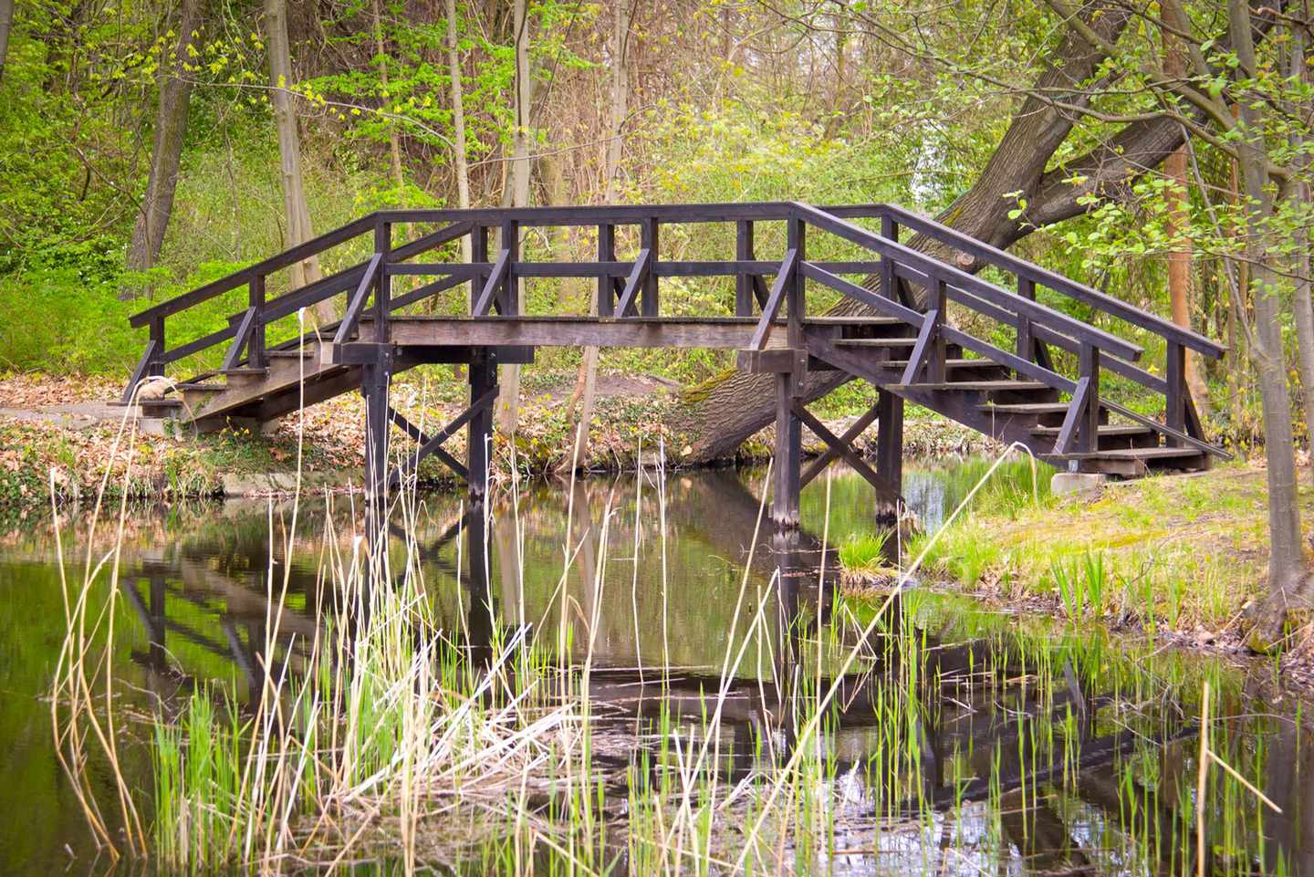 brandenburg-spreewald-bruecke-t-472898798.jpg
