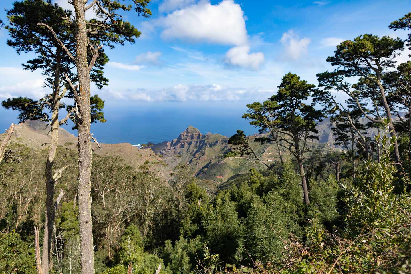 blt0898a4f81871f13f-spanien-kanaren-teneriffa-naturpark-anaga-meerblick-g-1148572534.jpg Meerblick aus dem Naturpark Anaga