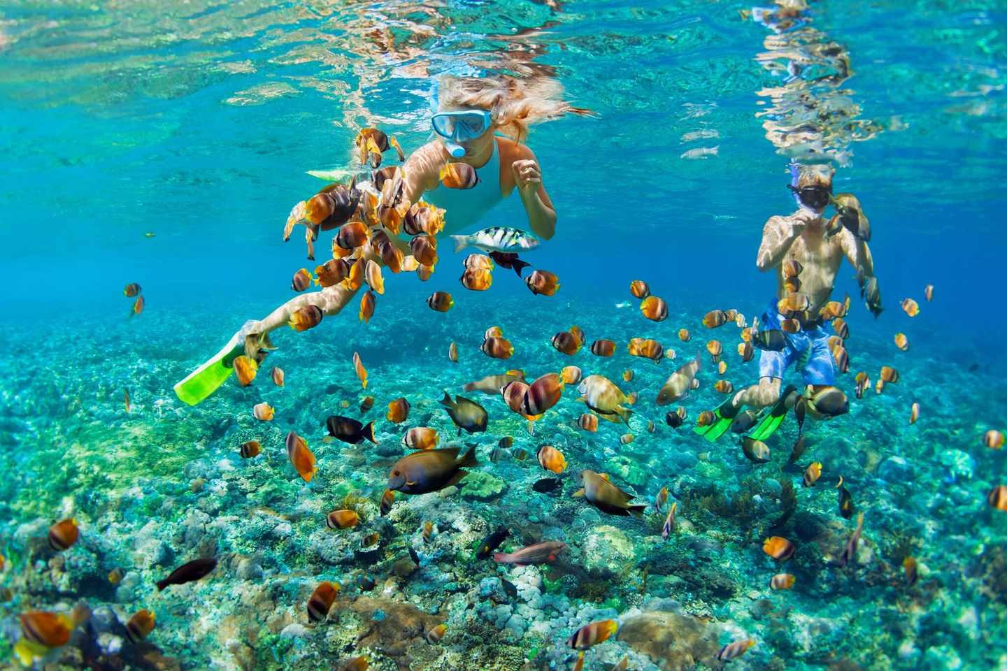 malediven-welches-malesiven-atoll-passt-zu-mir-zwei-kinder-schnorcheln-zwischen-bunten-fischen-beim-male-atoll-g-1253179381.jpg