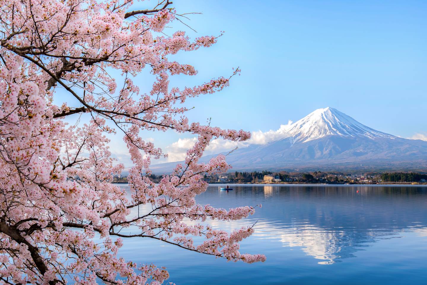 blt435ea0eafac1f213-japan-mount-fuji-lake-kawaguchiko-kirschbluete-g-1060517676.jpg japan-mount-fuji-lake-kawaguchiko-kirschbluete-g-1060517676.jpg