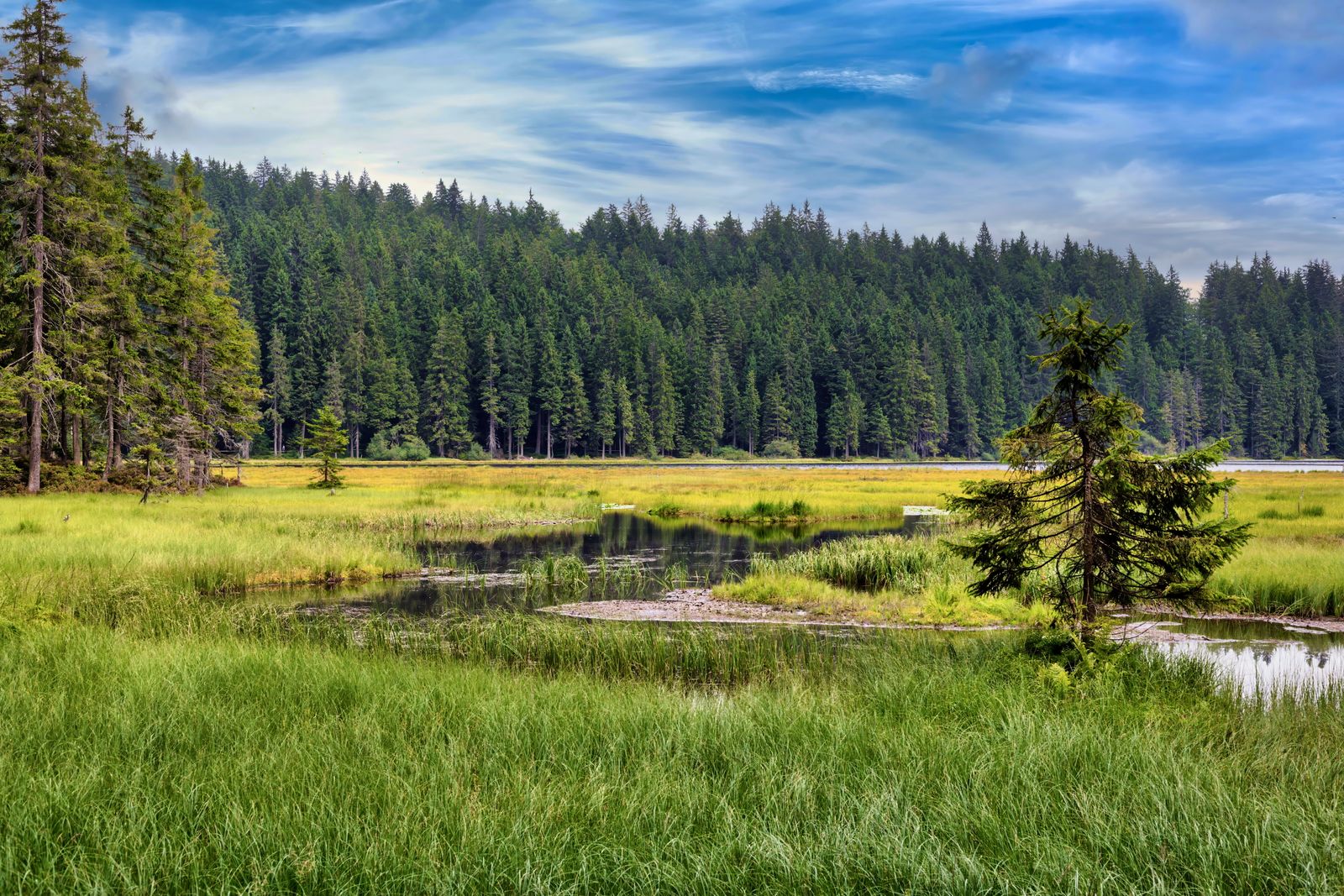 deutschland-bayern-bayerischer-wald-grosser-arbersee-g-2186239640.jpg
