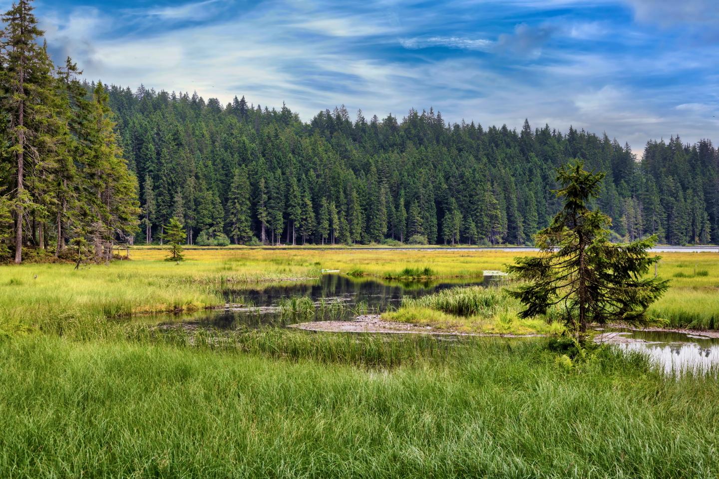 deutschland-bayern-bayerischer-wald-grosser-arbersee-g-2186239640.jpg