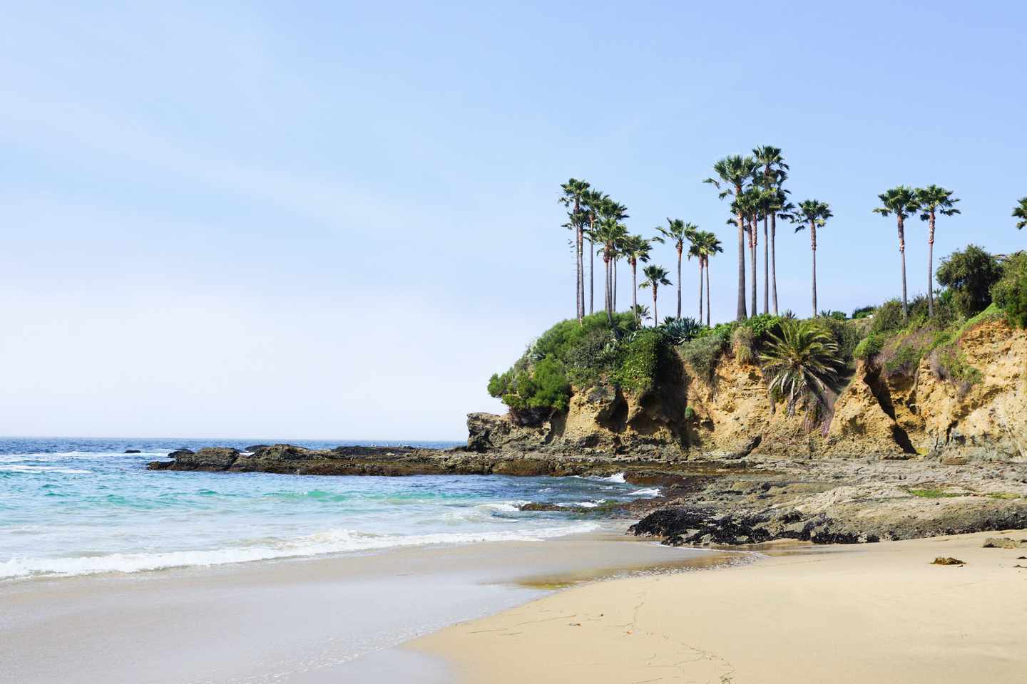bltd35ca912af349eab-USA-Kalifornien-Laguna-Beach-g-1401812978.jpg Palmen am Strand
