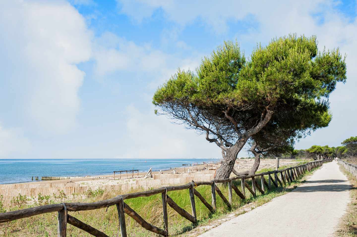 italien-bibione-strand-mit-natur-g-852721146.jpg