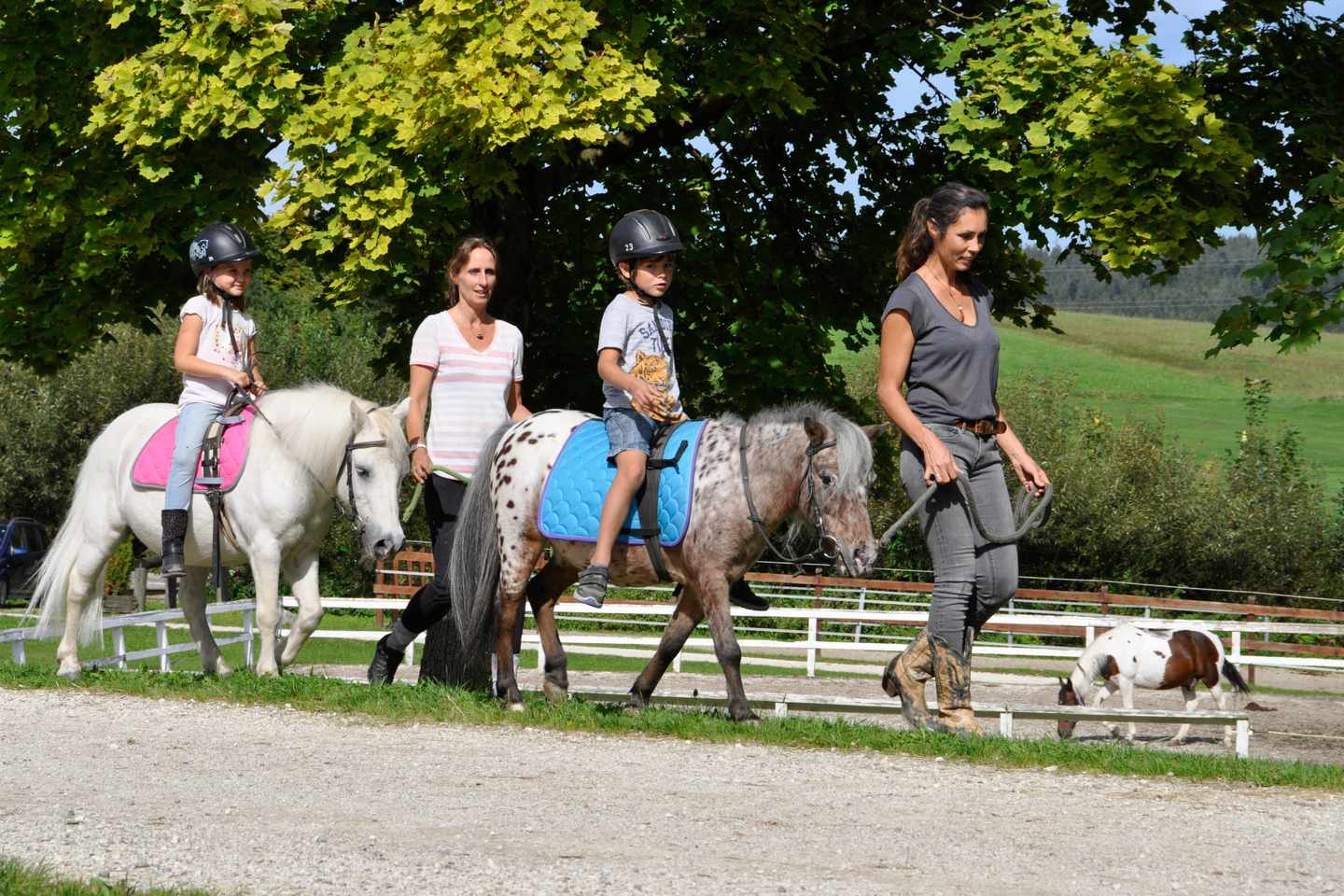 oesterreich-oberoesterreich-woermansedt-aldiana-club-ampflwang-kinder-reiten-auf-ponys-OOE_Reiten_0054-f-aldiana.jpg