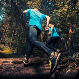 Sporthotels im Harz
