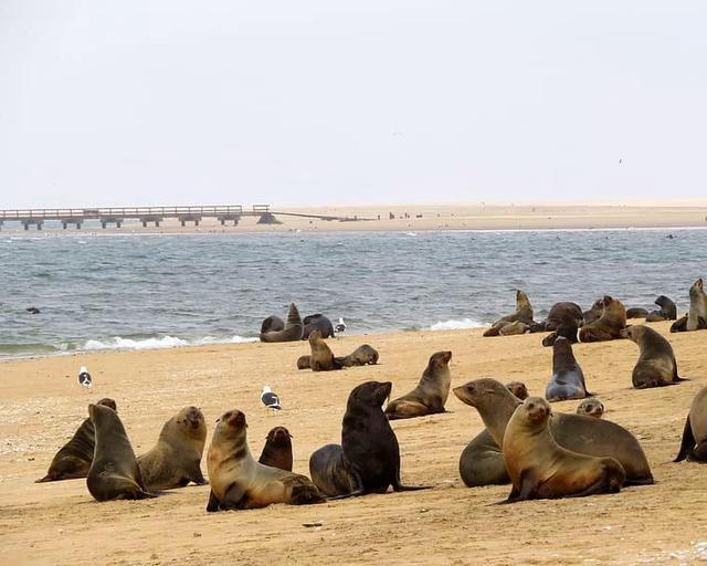 Namibia: Wüsten, Canyons und Atlantikküste