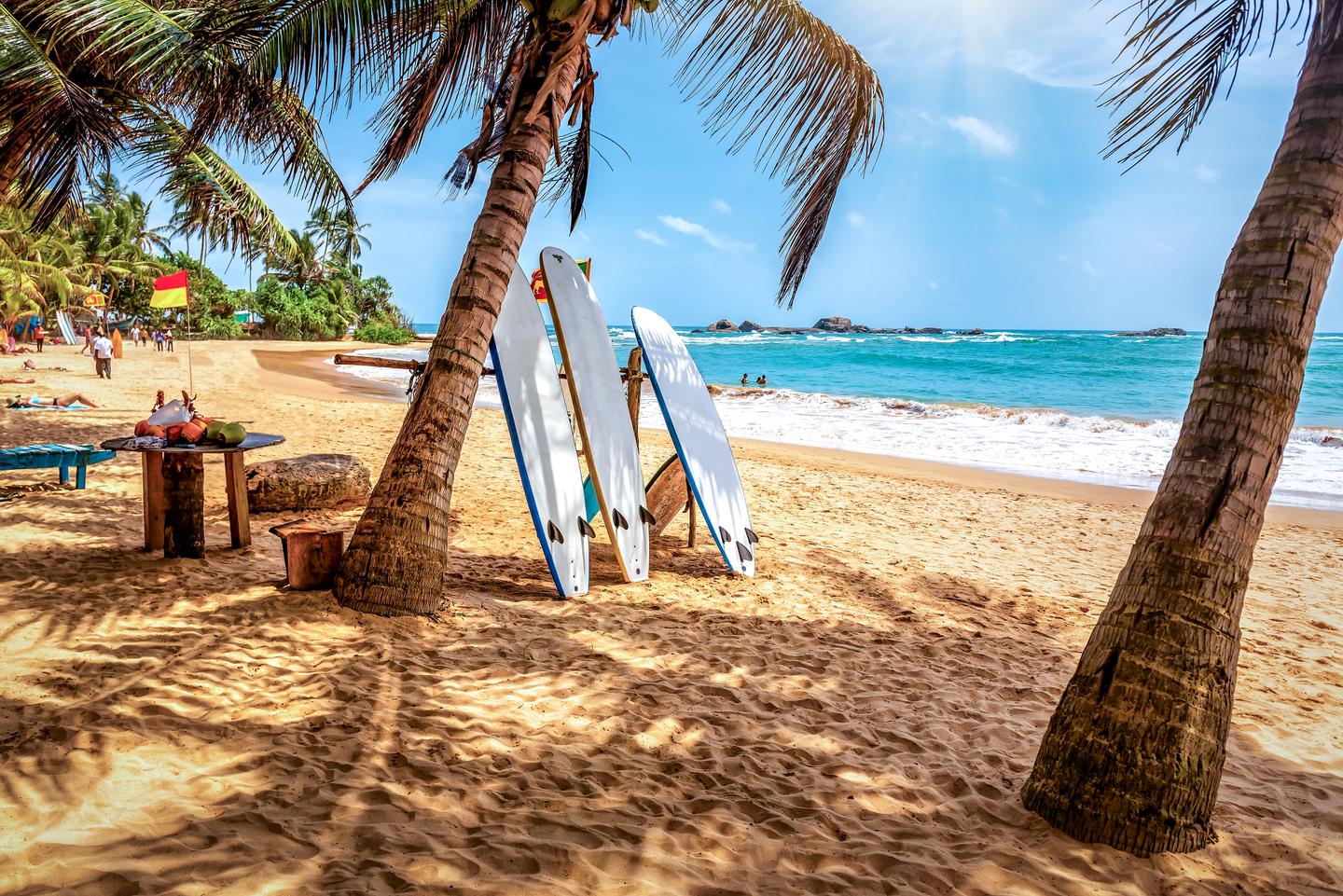 sri-lanka-strand-surfboard-palmen-g-2155402304.jpg