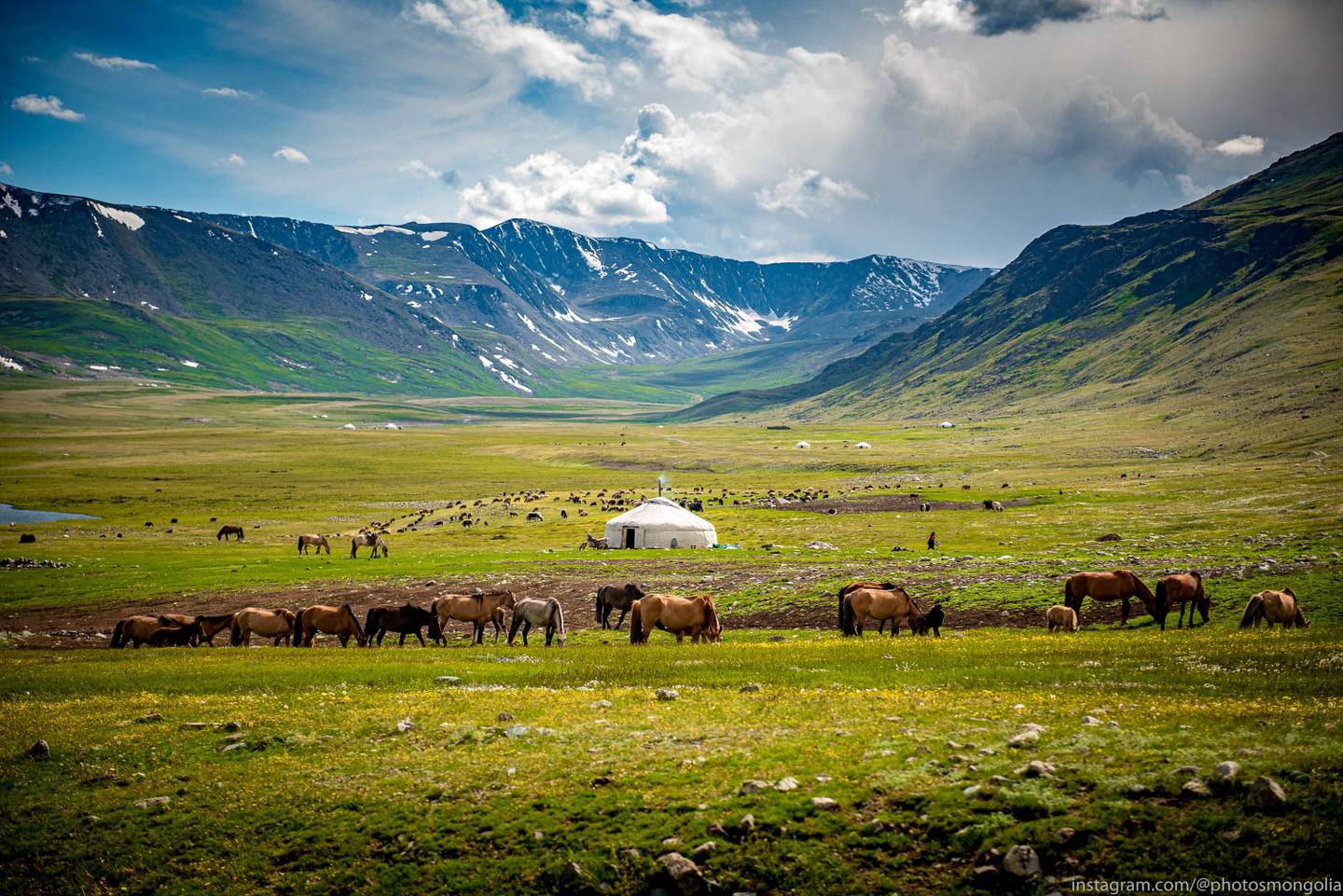 blt3224db611d625159-ausblick-mongolei-tiere-weide-g-1443170623.jpg ausblick-mongolei-tiere-weide-g-1443170623.jpg