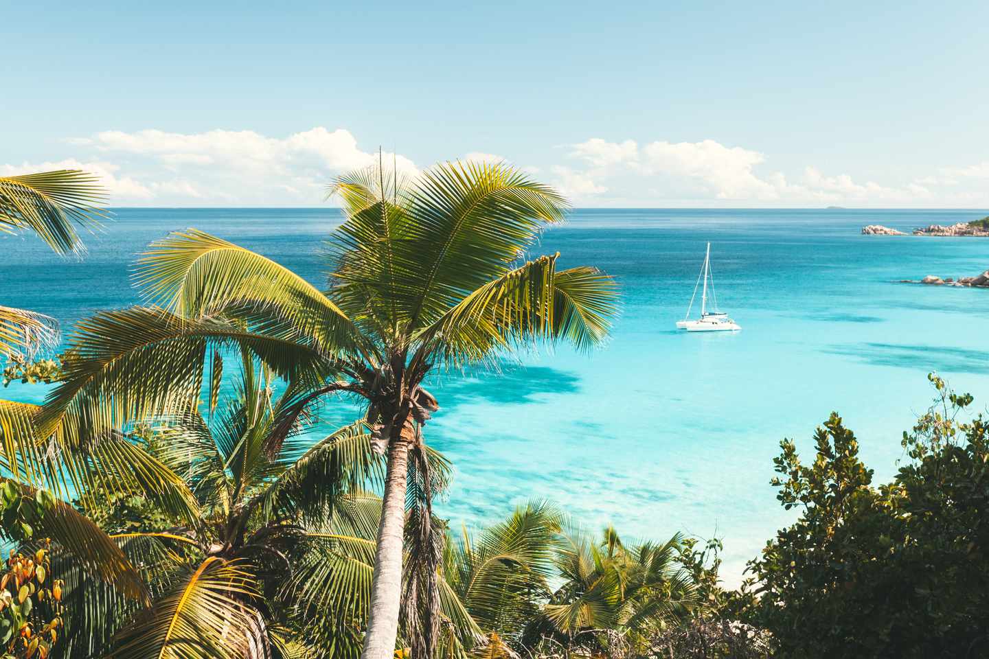 Seychellen-Türkisfarbenes-Meer-und-Palme-g-962989360.jpg