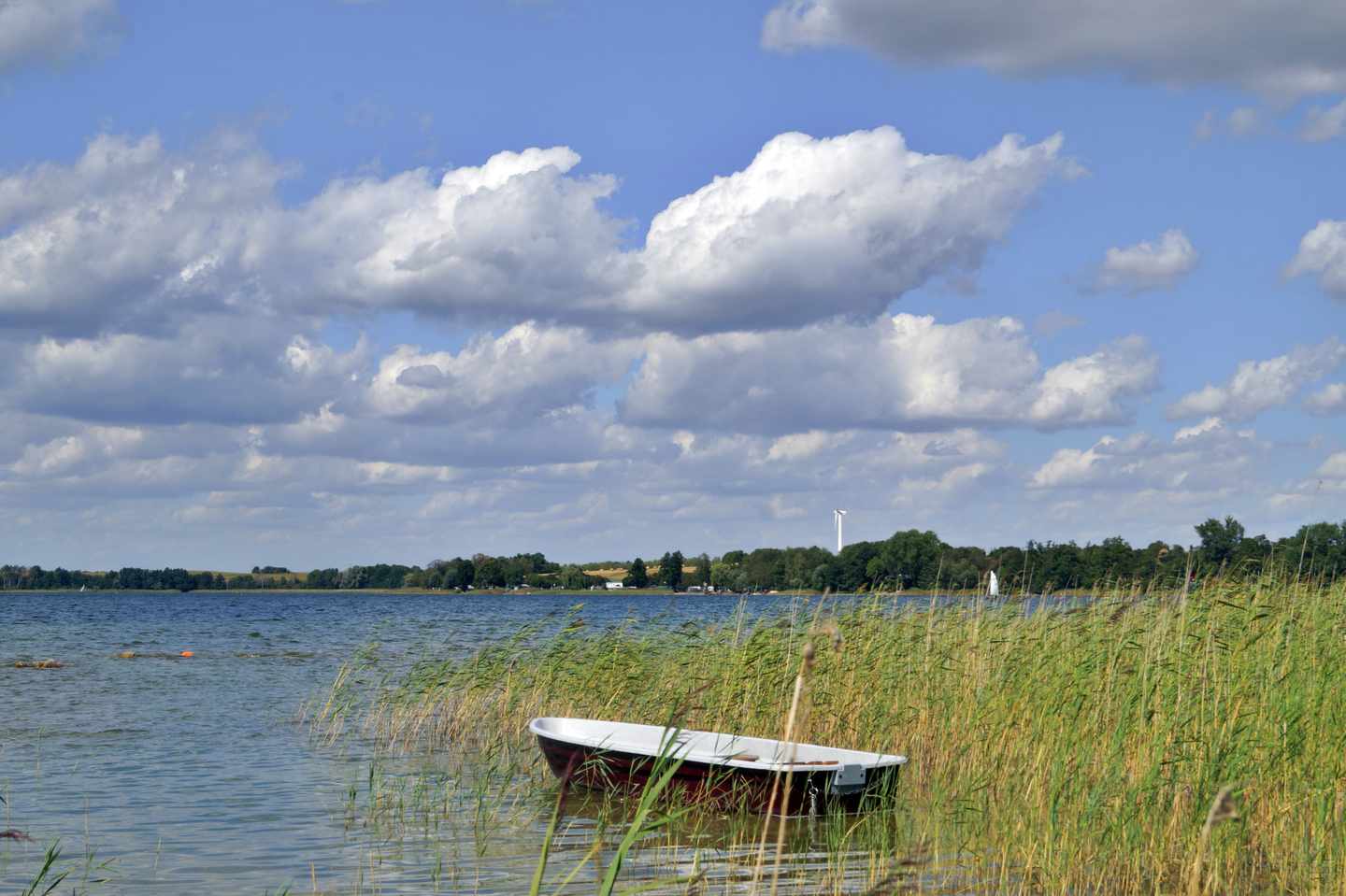 deutschland-brandenburg-schorfheide-g-1268154859.jpg