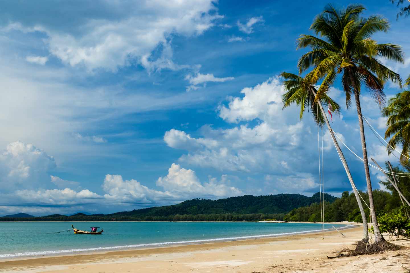 Hotel Khao Lak: tropischer Sandstrand mit Palmen