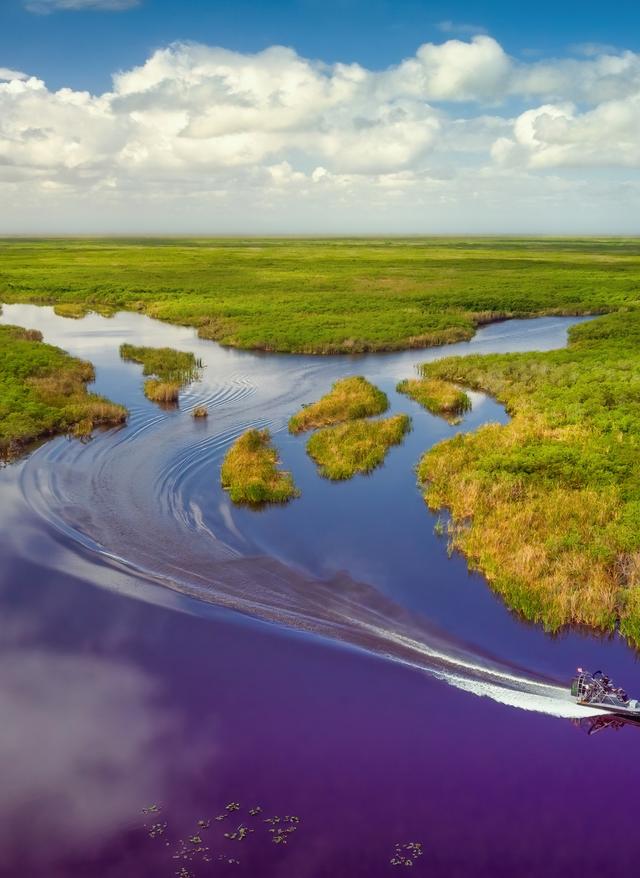 Everglades