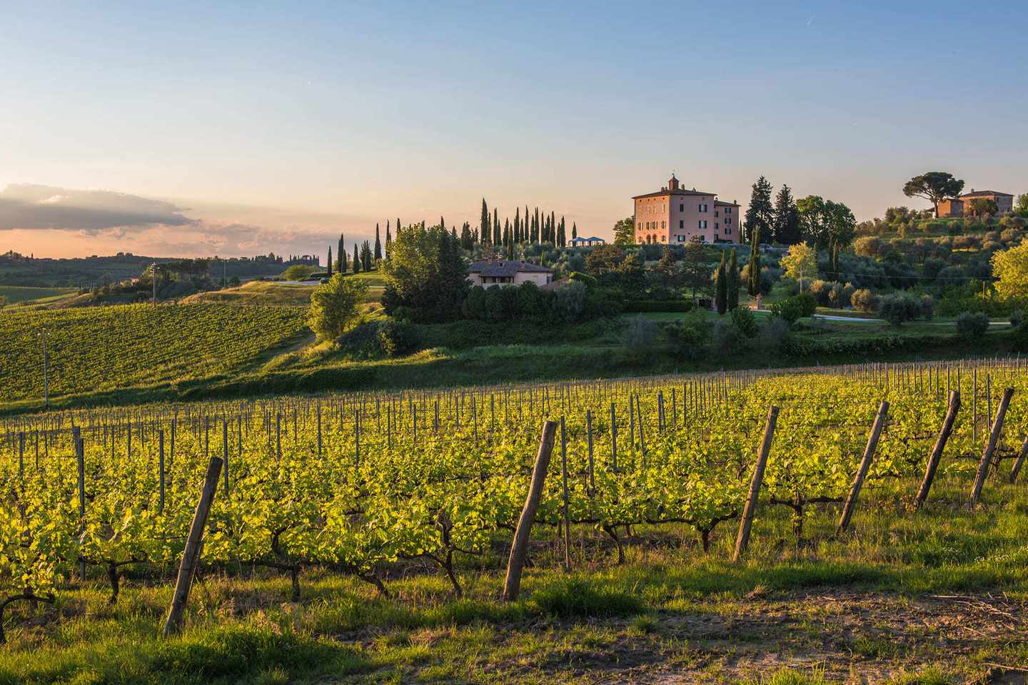 italien-toskana-weingueter-sonnenuntergang-auf-den-huegeln-der-toskana-g-645631352.jpg
