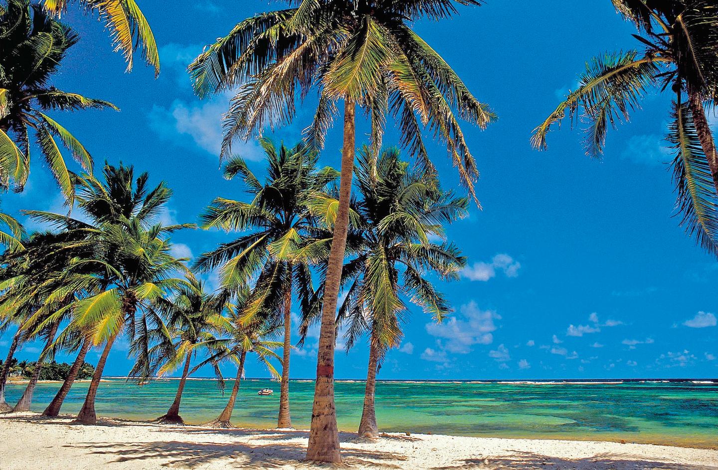 karibik-guadeloupe-strand-p-K46686.jpg