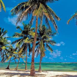 Hotels auf Guadeloupe