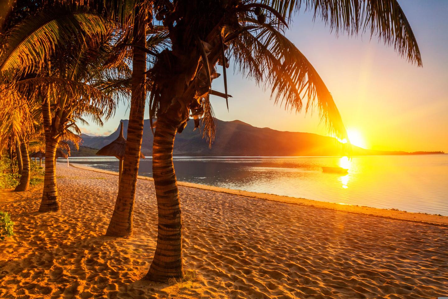mauritius-sonnenuntergang-palmen-t-516140934.jpg