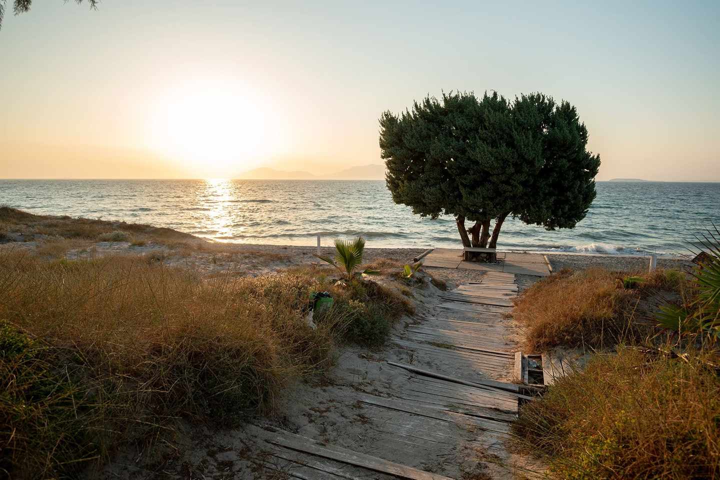 griechenland-kos-strand-mit-baum-g-1193906516.jpg