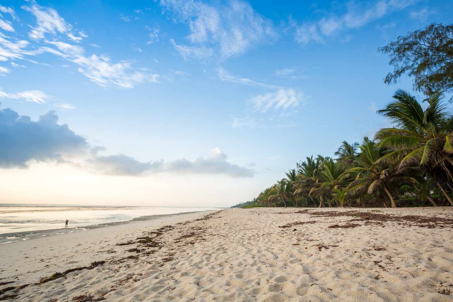 kenia-strand-g-638918876.jpg