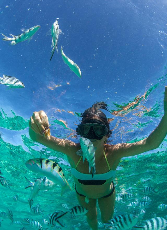 Tauchen auf Mauritius mauritius-schnorcheln-t-507250118.jpg