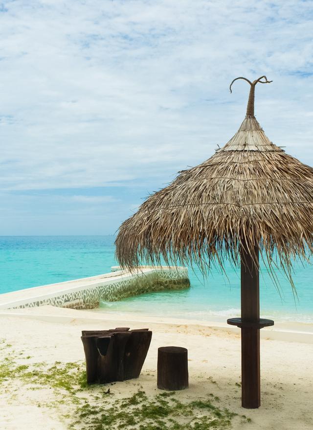 Zu den Angeboten mauritius-strand-palme