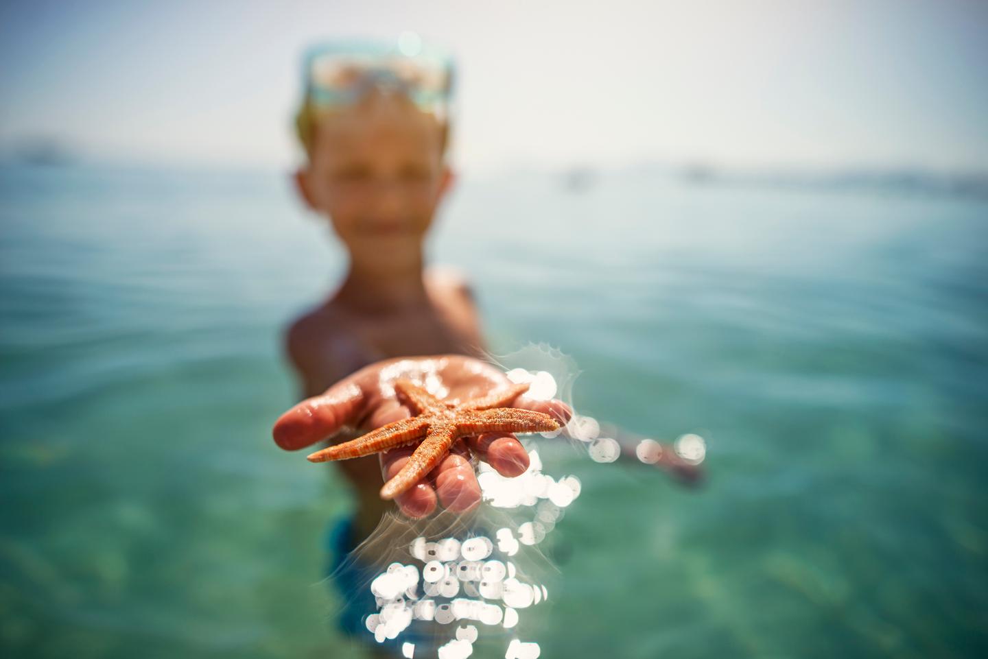 blt633bbabcdae54c2c-kinder-strand-meer-junge-seestern-g-586929884.jpg kinder-strand-meer-junge-seestern-g-586929884.jpg