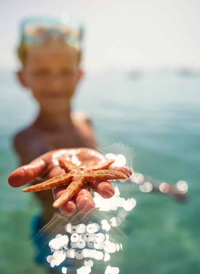 Tauchen und Schnorcheln? Mallorcas bunte Unterwasserwelt kinder-strand-meer-junge-seestern-g-586929884.jpg