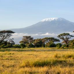 afrika-giraffe-vor-kilimandscharo-2081174110.jpg
