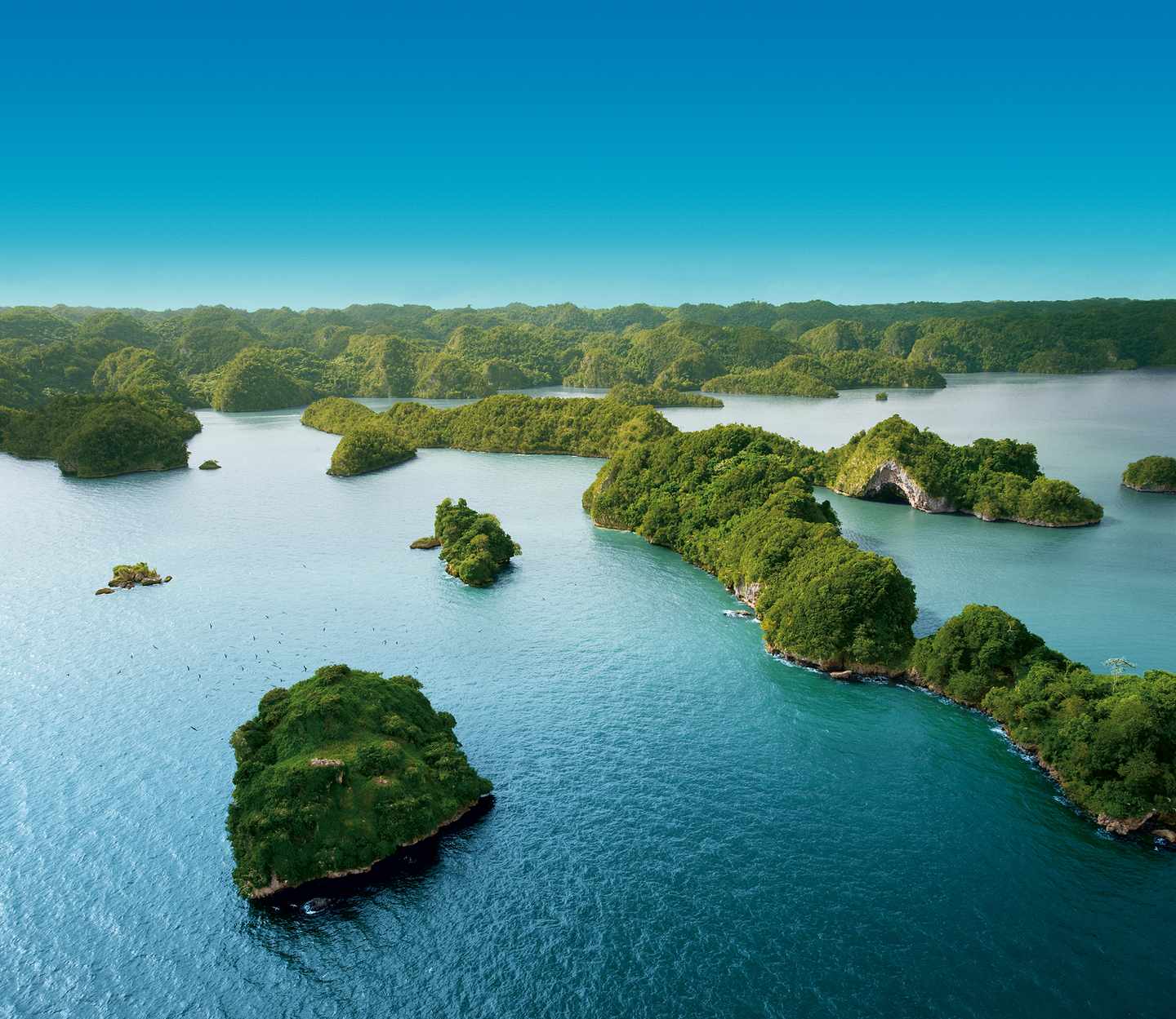 dom-rep-isla-de-los-pajaros-parque-nacional-los-haitises.jpg